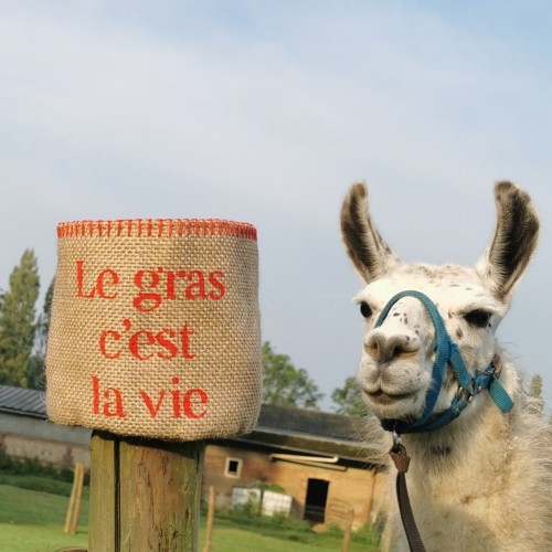 Petit panier le gras c'est la vie.