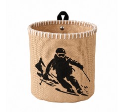 Mini ski