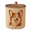 Mini corgi